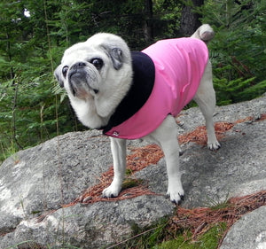 Winter Clothes for Pugs: X-treme Pink Ski Jacket