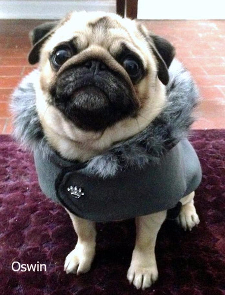 Cold Climate Coat: Luxury Polar Pup