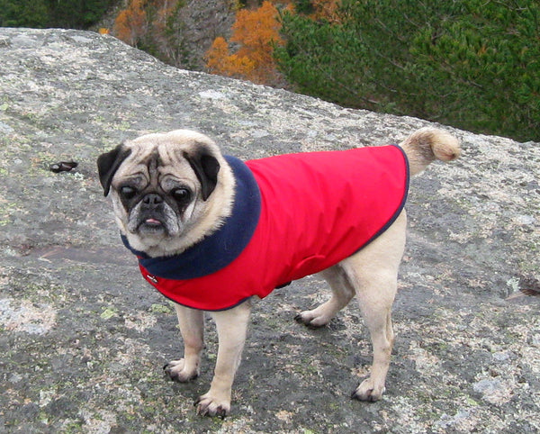 Winter Clothes for Pugs: X-Treme Red Ski Jacket