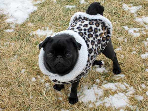 Cold Climate Winter Coat: Snowy Leopard