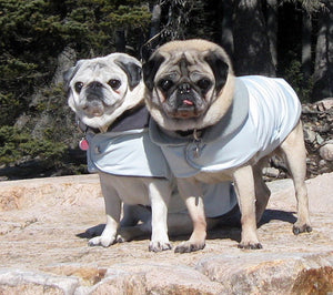 Winter Clothes for Pugs: X-tremely Fawn Ski Jacket/Silver Gray