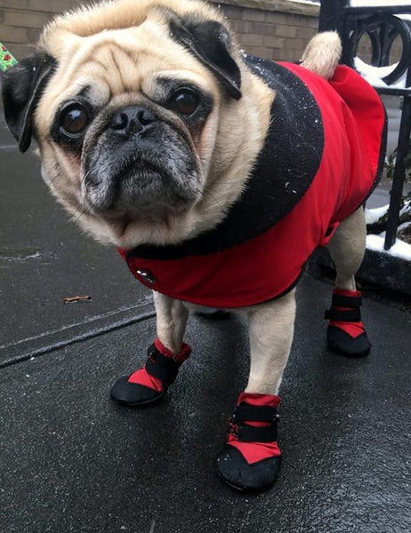 Ultra Paws Durable Dog Booties
