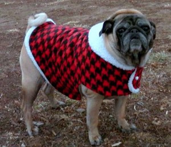 Red and Black Fleece Houndstooth